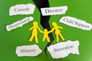 Family Law Advisor Services