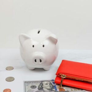 An image of a piggy bank surrounded by cash.